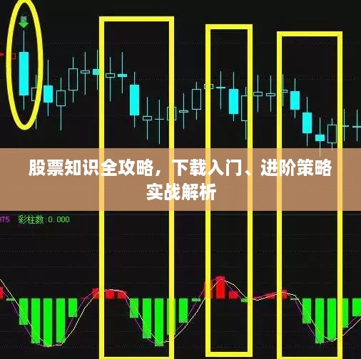 股票知識全攻略，下載入門(mén)、進(jìn)階策略實(shí)戰解析