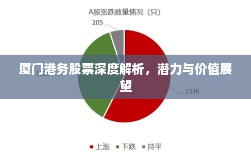 廈門(mén)港務(wù)股票深度解析，潛力與價(jià)值展望