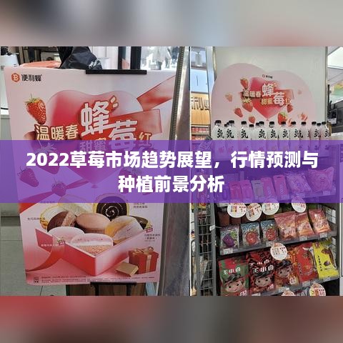 2022草莓市場(chǎng)趨勢展望，行情預測與種植前景分析