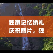 獨家記憶婚禮慶祝圖片，獨家記憶圖片唯美 