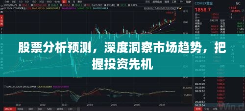 股票分析預測，深度洞察市場(chǎng)趨勢，把握投資先機