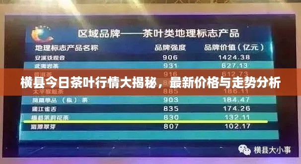 橫縣今日茶葉行情大揭秘，最新價(jià)格與走勢分析