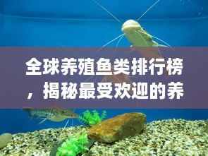全球養殖魚(yú)類(lèi)排行榜，揭秘最受歡迎的養殖魚(yú)類(lèi)種類(lèi)！