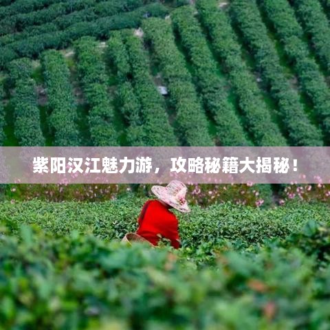 紫陽(yáng)漢江魅力游，攻略秘籍大揭秘！