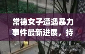 常德女子遭遇暴力事件最新進(jìn)展，持續關(guān)注被打女子最新消息