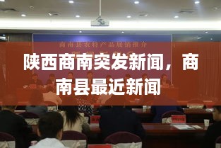 陜西商南突發(fā)新聞，商南縣最近新聞 