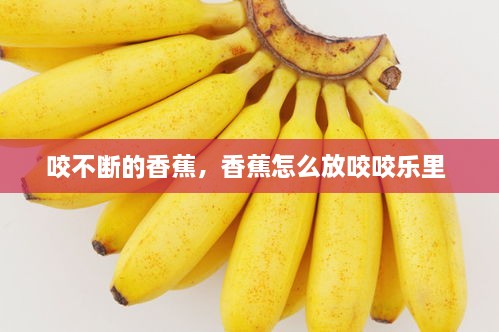 咬不斷的香蕉，香蕉怎么放咬咬樂(lè )里 