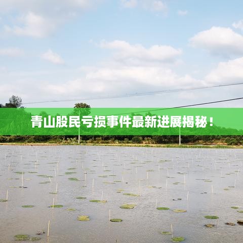 青山股民虧損事件最新進(jìn)展揭秘！