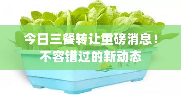 今日三餐轉讓重磅消息！不容錯過(guò)的新動(dòng)態(tài)