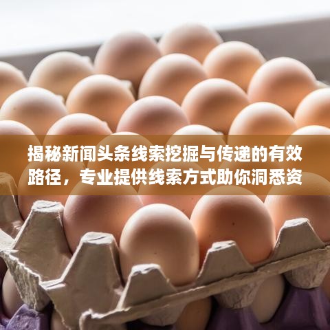 揭秘新聞頭條線(xiàn)索挖掘與傳遞的有效路徑，專(zhuān)業(yè)提供線(xiàn)索方式助你洞悉資訊動(dòng)態(tài)