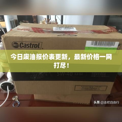 今日廢油報價(jià)表更新，最新價(jià)格一網(wǎng)打盡！