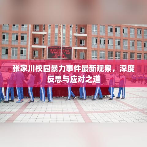 張家川校園暴力事件最新觀(guān)察，深度反思與應對之道