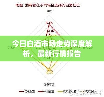 今日白酒市場(chǎng)走勢深度解析，最新行情報告