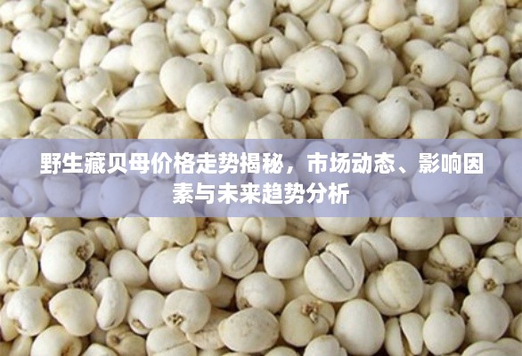 野生藏貝母價(jià)格走勢揭秘，市場(chǎng)動(dòng)態(tài)、影響因素與未來(lái)趨勢分析