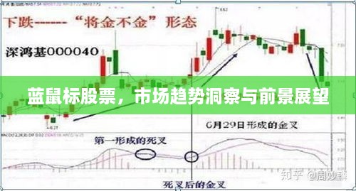 藍鼠標股票，市場(chǎng)趨勢洞察與前景展望