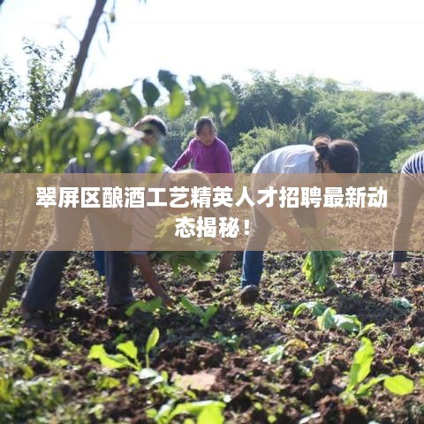 翠屏區釀酒工藝精英人才招聘最新動(dòng)態(tài)揭秘！