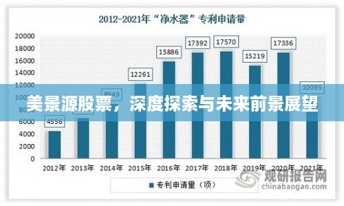 美景源股票，深度探索與未來(lái)前景展望