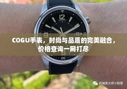 COGU手表，時(shí)尚與品質(zhì)的完美融合，價(jià)格查詢(xún)一網(wǎng)打盡