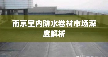 南京室內防水卷材市場(chǎng)深度解析