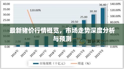 最新豬價(jià)行情概覽，市場(chǎng)走勢深度分析與預測