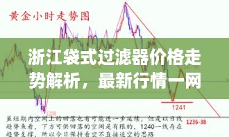 浙江袋式過(guò)濾器價(jià)格走勢解析，最新行情一網(wǎng)打盡！