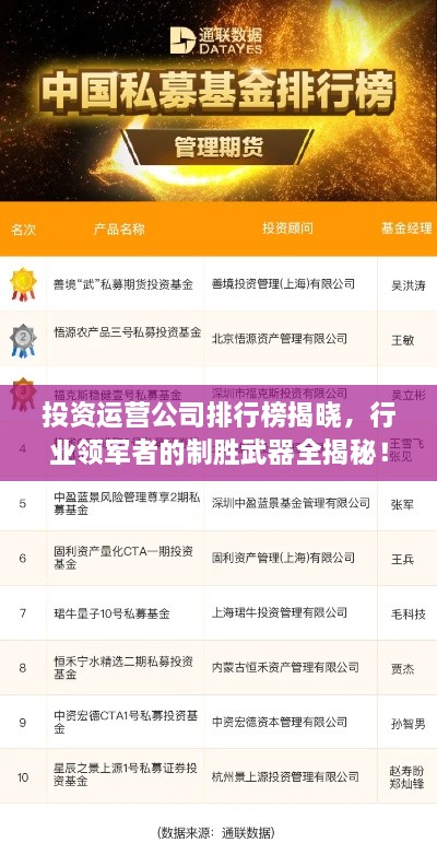 投資運營(yíng)公司排行榜揭曉，行業(yè)領(lǐng)軍者的制勝武器全揭秘！