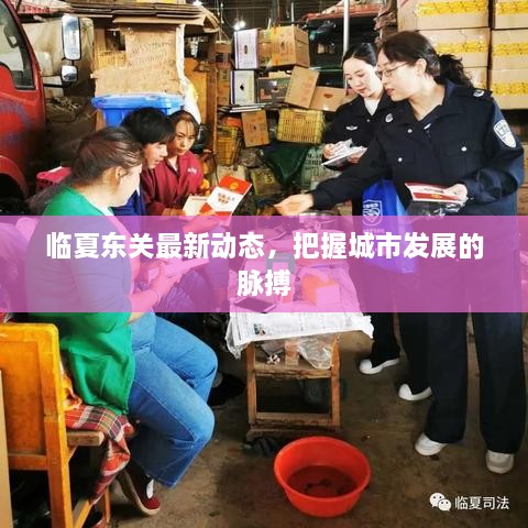 臨夏東關(guān)最新動(dòng)態(tài)，把握城市發(fā)展的脈搏
