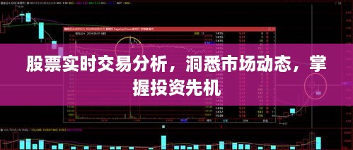 股票實(shí)時(shí)交易分析，洞悉市場(chǎng)動(dòng)態(tài)，掌握投資先機