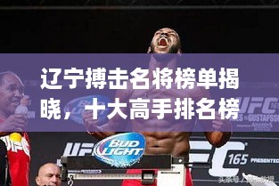 遼寧搏擊名將榜單揭曉，十大高手排名榜單！