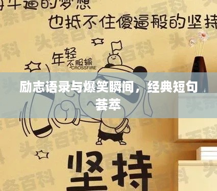 勵志語(yǔ)錄與爆笑瞬間，經(jīng)典短句薈萃