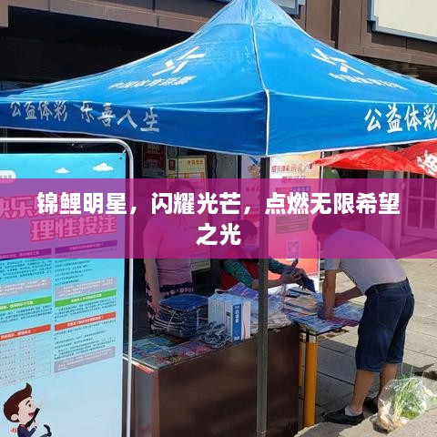 錦鯉明星，閃耀光芒，點(diǎn)燃無(wú)限希望之光