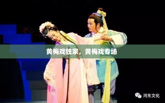 黃梅戲獨家，黃梅戲專(zhuān)場(chǎng) 