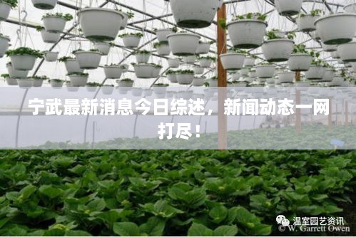 寧武最新消息今日綜述，新聞動(dòng)態(tài)一網(wǎng)打盡！