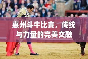 惠州斗牛比賽，傳統與力量的完美交融