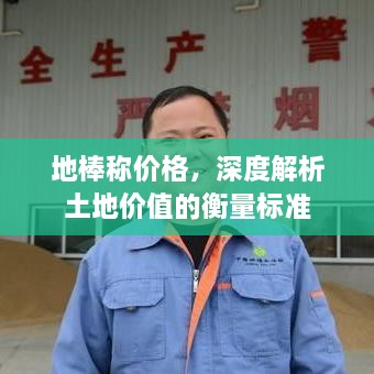 地棒稱(chēng)價(jià)格，深度解析土地價(jià)值的衡量標準