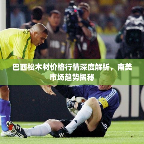 巴西松木材價(jià)格行情深度解析，南美市場(chǎng)趨勢揭秘