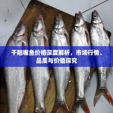 干翹嘴魚(yú)價(jià)格深度解析，市場(chǎng)行情、品質(zhì)與價(jià)值探究