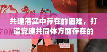 共建落實(shí)中存在的困難，打造黨建共同體方面存在的問(wèn)題 