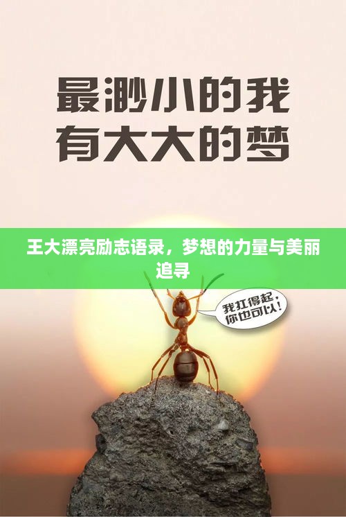 王大漂亮勵志語(yǔ)錄，夢(mèng)想的力量與美麗追尋
