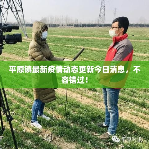 平原鎮最新疫情動(dòng)態(tài)更新今日消息，不容錯過(guò)！