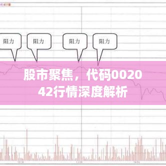 股市聚焦，代碼002042行情深度解析