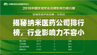 揭秘納米醫藥公司排行榜，行業(yè)影響力不容小覷！