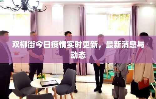 雙柳街今日疫情實(shí)時(shí)更新，最新消息與動(dòng)態(tài)