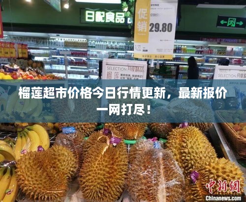 榴蓮超市價(jià)格今日行情更新，最新報價(jià)一網(wǎng)打盡！
