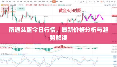 南通頭盔今日行情，最新價(jià)格分析與趨勢解讀