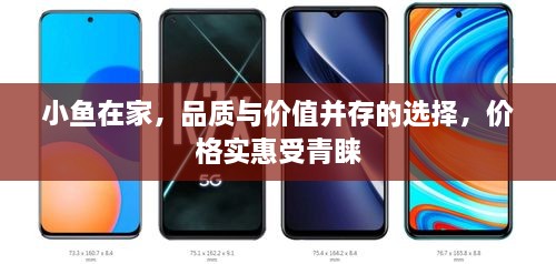 小魚(yú)在家，品質(zhì)與價(jià)值并存的選擇，價(jià)格實(shí)惠受青睞
