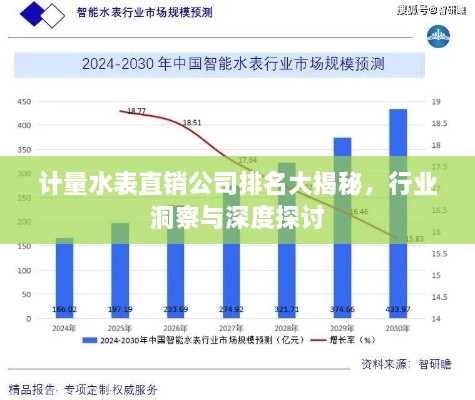 計量水表直銷(xiāo)公司排名大揭秘，行業(yè)洞察與深度探討