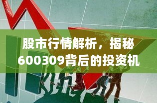 股市行情解析，揭秘600309背后的投資機會(huì )與挑戰