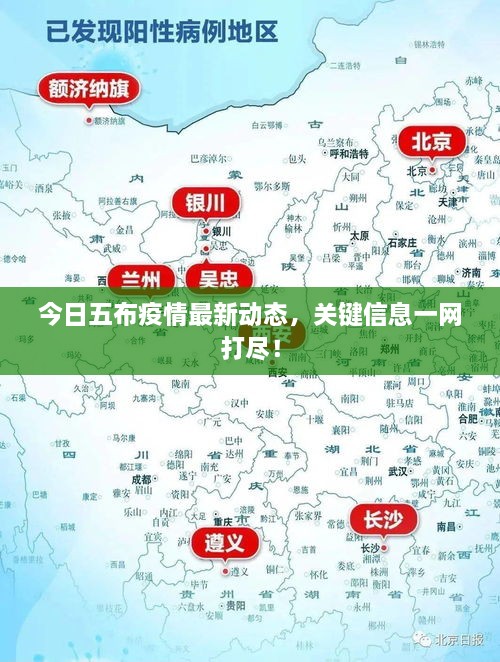 今日五布疫情最新動(dòng)態(tài)，關(guān)鍵信息一網(wǎng)打盡！