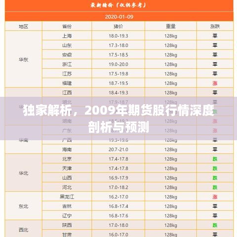 獨家解析，2009年期貨股行情深度剖析與預測